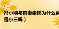 冯小刚与前妻张娣为什么离婚(现任徐帆真的是小三吗)
