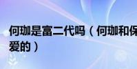 何珈是富二代吗(何珈和保剑锋是怎么认识相爱的)