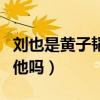 刘也是黄子韬的艺人吗（黄子韬真的能够帮助他吗）