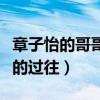 章子怡的哥哥是谁（章子怡与他有何不堪回首的过往）