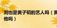 刘也是黄子韬的艺人吗(黄子韬真的能够帮助他吗)