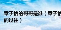 章子怡的哥哥是谁(章子怡与他有何不堪回首的过往)