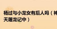 杨过与小龙女有后人吗(神雕侠侣的结局在倚天屠龙记中)