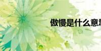 傲慢是什么意思?
