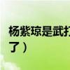 杨紫琼是武打明星吗（杨紫琼为什么消声灭迹了）
