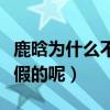 鹿晗为什么不敢坐飞机（鹿晗恐高是真的还是假的呢）