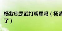 杨紫琼是武打明星吗(杨紫琼为什么消声灭迹了)