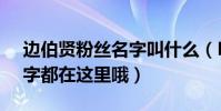 边伯贤粉丝名字叫什么(EXO所有的粉丝名字都在这里哦)