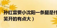 孙红雷要小沈阳一条腿是什么梗(两人这次玩笑开的有点大)