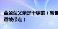 蓝盈莹父亲是干嘛的(曾自曝遭遇强拆事件爸爸被带走)