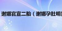 谢娜官宣二胎(谢娜孕肚明显被指已怀二胎)