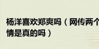 杨洋喜欢郑爽吗(网传两个人因合作而因戏生情是真的吗)