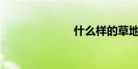 什么样的草地?