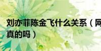 刘亦菲陈金飞什么关系(网曝两人深夜约会是真的吗)