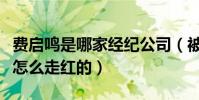 费启鸣是哪家经纪公司(被指人生开挂的他是怎么走红的)