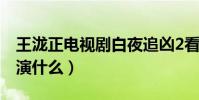 王泷正电视剧白夜追凶2看么(王泷正在里面演什么)