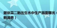 谢依霖二胎出生水中生产画面曝光(谢依霖二胎男孩女孩最新消息)