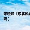 宋晓峰《东北风云》烂片（网友戏称东北包袱笑点都这么低吗）