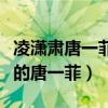 凌潇肃唐一菲怎么认识（网曝凌潇肃是出轨找的唐一菲）