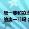 唐一菲和凌潇肃咋在一起了（凌潇肃没离婚找的唐一菲吗）