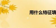 用什么特征填空