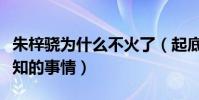 朱梓骁为什么不火了(起底朱梓骁那些鲜为人知的事情)