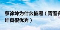 蔡徐坤为什么被黑(青春有你2舞台上的蔡徐坤真很优秀)