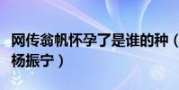 网传翁帆怀孕了是谁的种(翁帆为什么要嫁给杨振宁)