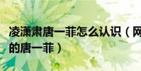 凌潇肃唐一菲怎么认识(网曝凌潇肃是出轨找的唐一菲)