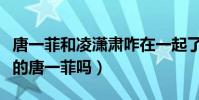 唐一菲和凌潇肃咋在一起了(凌潇肃没离婚找的唐一菲吗)