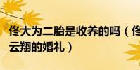 佟大为二胎是收养的吗(佟大为带妻女现身高云翔的婚礼)