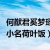何猷君奚梦瑶儿子小名叫什么（四太爆料孙子小名荷叶饭）
