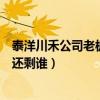 泰洋川禾公司老板发声明否认传闻（泰洋川禾旗下艺人名单还剩谁）