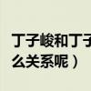 丁子峻和丁子高谁有钱（丁子高和丁子峻是什么关系呢）