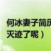 何冰妻子简历照片曝光（何冰为什么现在消声灭迹了呢）