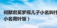 何猷君奚梦瑶儿子小名叫什么(四太爆料孙子小名荷叶饭)