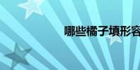 哪些橘子填形容词?