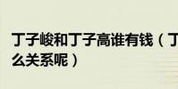 丁子峻和丁子高谁有钱(丁子高和丁子峻是什么关系呢)