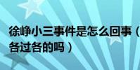 徐峥小三事件是怎么回事(徐峥和陶虹真的是各过各的吗)