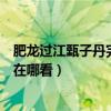 肥龙过江甄子丹完整版剧情解析（肥龙过江电影结局完整版在哪看）