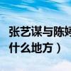 张艺谋与陈婷怎么上（张艺谋到底看上了陈婷什么地方）