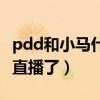 pdd和小马什么关系（pdd和小马怎么不一起直播了）