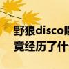 野狼disco曝抄袭（2019年神曲跌下神坛究竟经历了什么）