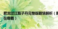 肥龙过江甄子丹完整版剧情解析(肥龙过江电影结局完整版在哪看)