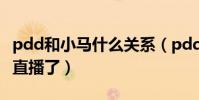 pdd和小马什么关系(pdd和小马怎么不一起直播了)