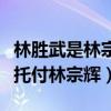 林胜武是林宗辉什么人（为啥林胜武临死前会托付林宗辉）