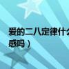 爱的二八定律什么时候播出（相差9岁男女主杨幂许凯有CP感吗）