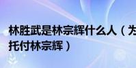 林胜武是林宗辉什么人(为啥林胜武临死前会托付林宗辉)