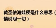 黄圣依海娃梗是什么意思(演技遭吐槽刘烨表情说明一切)