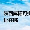 陕西咸阳可提供爱普生针式打印机维修服务地址在哪